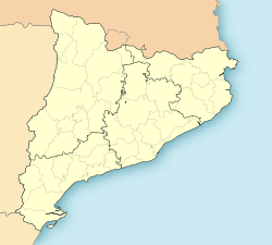 Naut Aran is located in Catalonia