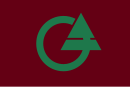 Drapeau de Chizu-chō