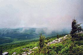 Vue du flanc ouest du Spruce Knob.