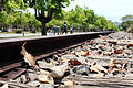 Trilho do trem da UFV. Opção News