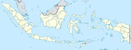 Muaro (Indonesië)