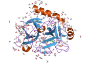 2anw: Expression, crystallization and three-dimensional structure of the catalytic domain of human plasma kallikrein: Implications for structure-based design of protease inhibitors