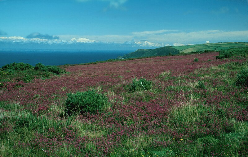 File:North Devon Exmoor 02.jpg