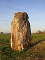 Megalith in Larrivière-Saint-Savin