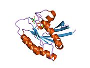 1lf5: Crystal Structure of RasA59G in the GDP-bound Form