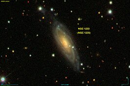 NGC 1233