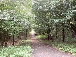 Vanaf de hoge kamp loopt de weg vrij steil naar de woonwijk De Held