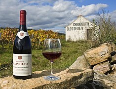 Chambertin-clos-de-bèze, vignoble de la côte de Nuits