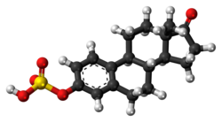 Space-filling model of the estrone sulfate molecule