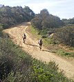 Piste de randonnée sur la section non goudronnée de Mulholland Drive.