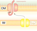 Thumbnail for version as of 04:45, 4 February 2010