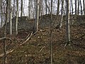 Zwingermauer vom Burggraben aus gesehen