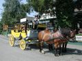 Oberbergische Postkutsche auf dem Weg von Nümbrecht beim Halt am Ponyhof in Hübender