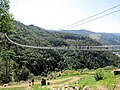 Hängebrücke „Blackforestline“ in Todtnau