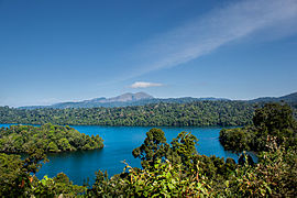 Forêt tropicale de la chaîne montagneuse des Ghats occidentaux.