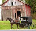 En heste-drevet Amish-buggy i landlige Holmes County, Ohio, 2004.