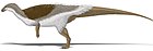 Thescelosaurus neglectus