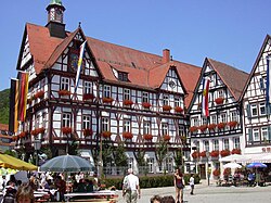 Skyline of Bad Urach