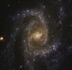 NGC 2835