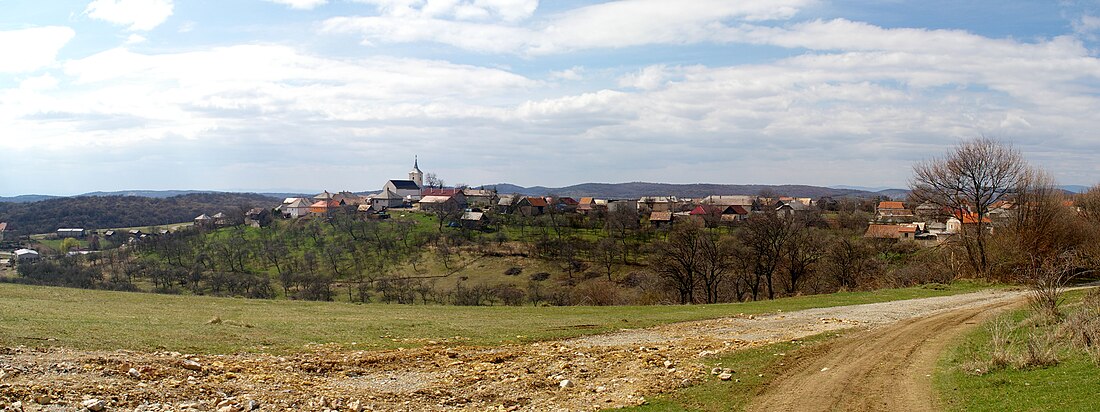 Panoramo de Silica