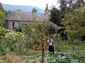 Vegetable growing in the Couserans, Occitanie, France