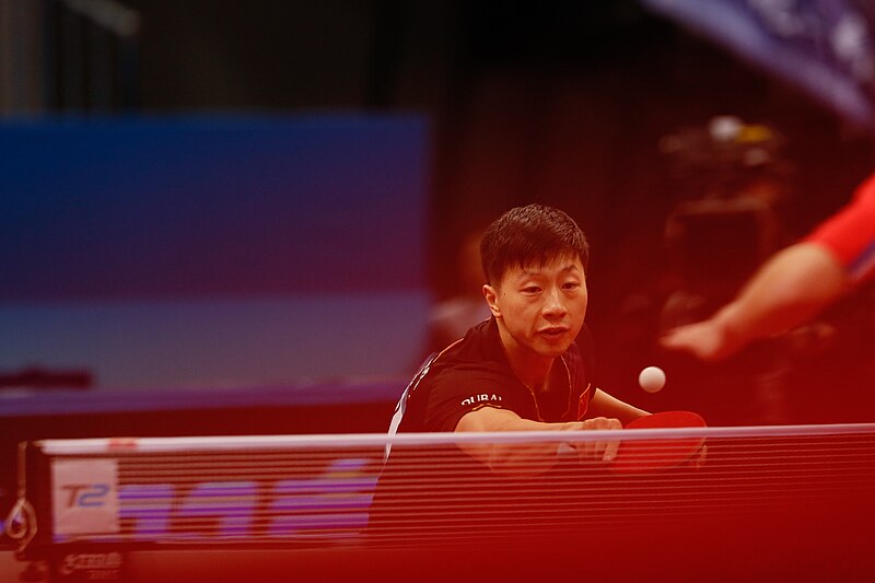 File:Ma Long ATTC2017 38.jpeg