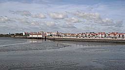 Montijo