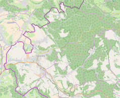 Mapa konturowa Kudowy-Zdroju, blisko lewej krawiędzi nieco na dole znajduje się punkt z opisem „Przejście graniczneKudowa Słone-Náchod”