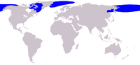 Distribución da balea de Groenlandia