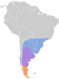 Distribución del cisne coscoroba