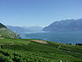 Lavaux - UNESCO Welterbe