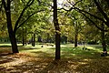 Sereikiškės Park in Vilnius