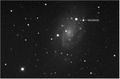 Supernova SN 2004dj an der Galaxie NGC 2403