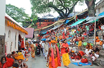 Sādhus reunits al temple Kamakhya d'Assam per a l'Ambubachi Melā