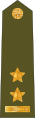 Podplukovník[7] (Czech Land Forces)