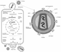 Aufbau und die Vermehrung des HIV