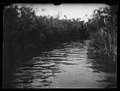 Una palude in Italia, fotografata da Gabrielle Hébert nel 1893