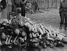 Buchenwald Corpses 07511.jpg