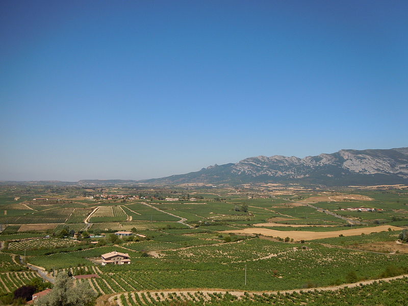 File:La Rioja Alavesa..jpg