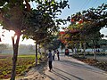 Path in the middle of Garden Fields in Chittagong, Bangladesh