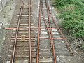 Double trap points with much longer rails, at Castle Cary railway station