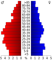 Bevolkingspiramide Bent County