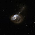 Arp 186 (NGC 1614)