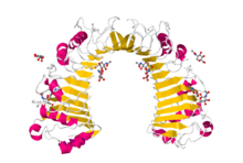 Protein CD14