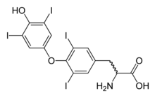 Molecular structure of the thyroxine molecule