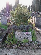 Tomba d'Albert Camus