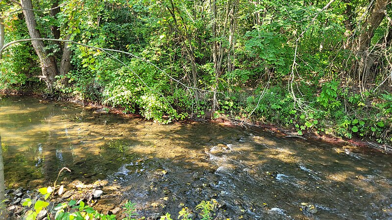 File:East Don River 001.jpg