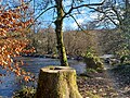 Thumbnail for File:Tarr Steps, Exmoor 16.jpg