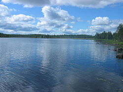 Järven pohjoisrantaa länteen päin.