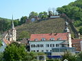 Vineyard and Clingenburg